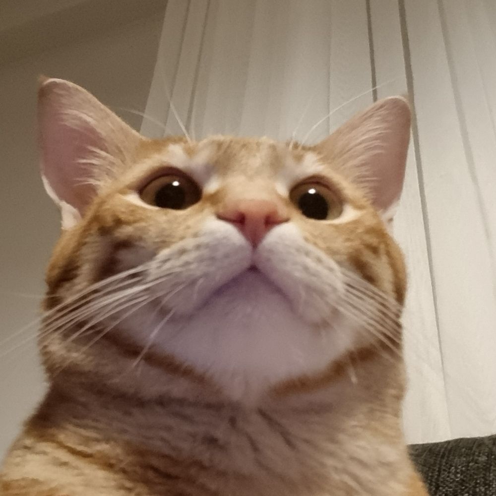 bayramsoysal