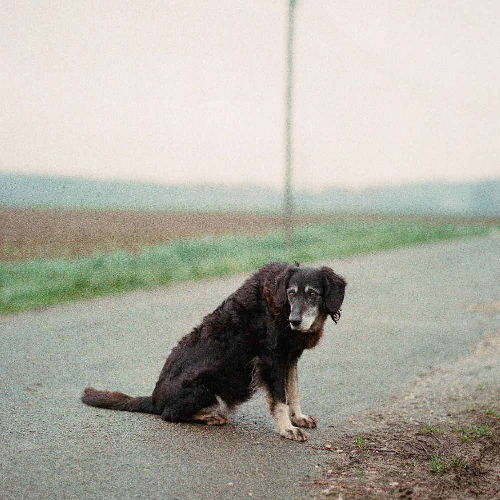 Ben Rullier