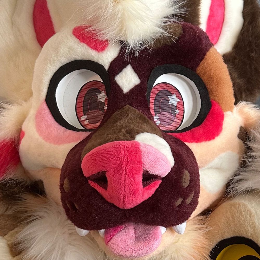 Kilo! 🌻 🔜 Anthrocon's avatar