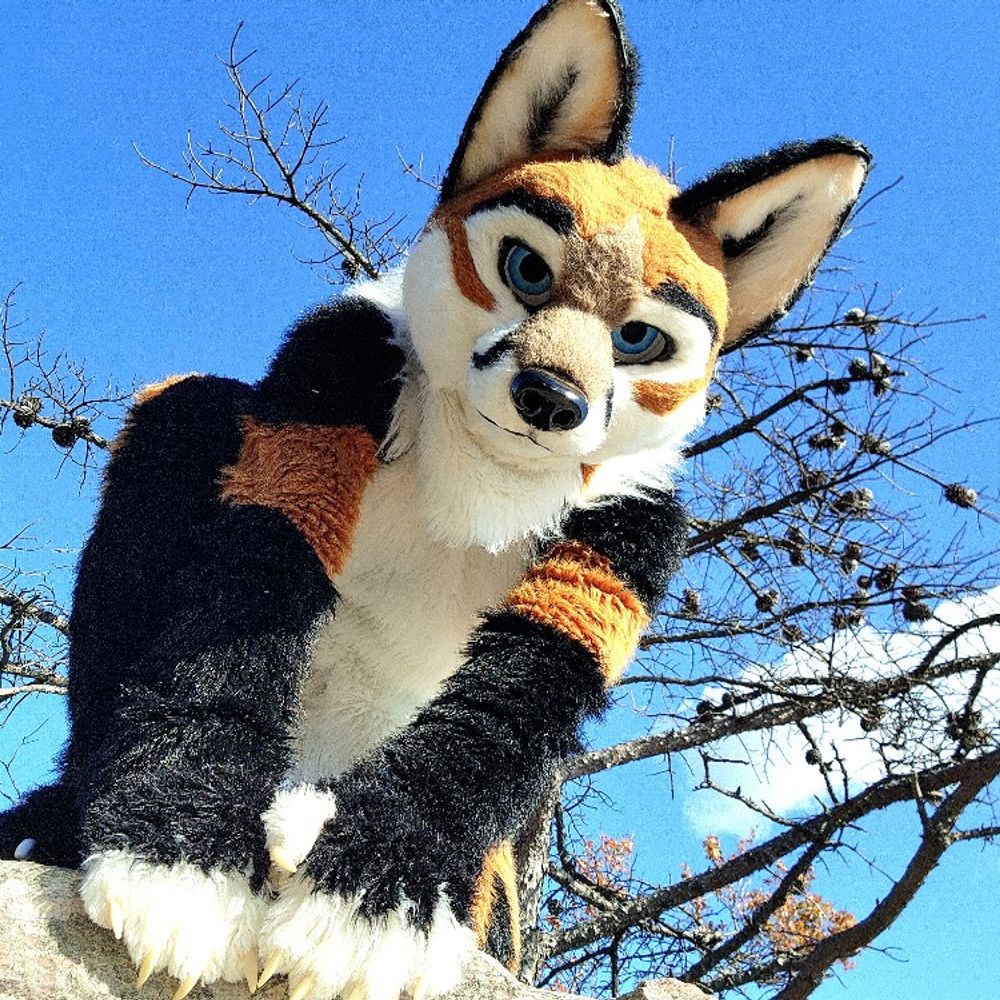 Sunrisefox-Deployed 
