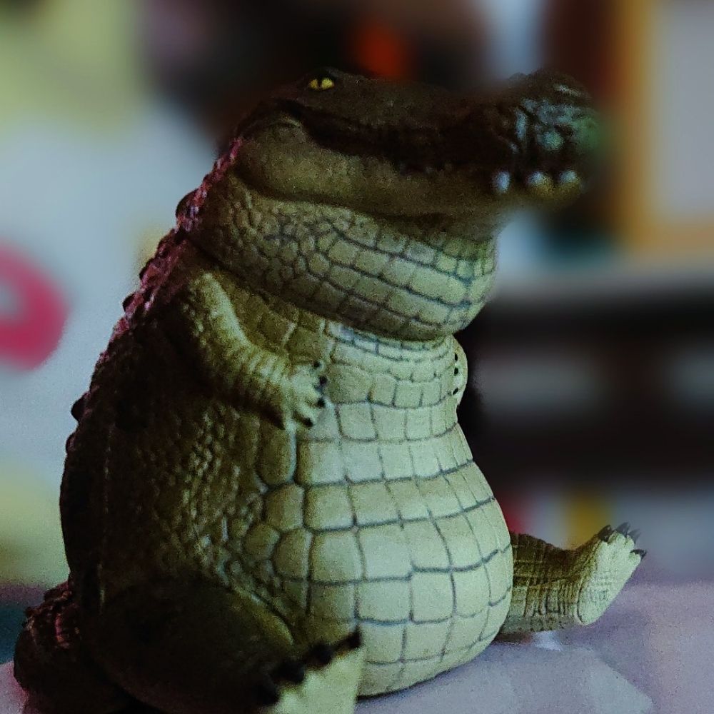 ワニ