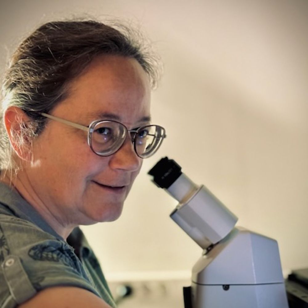Valérie J. Robert