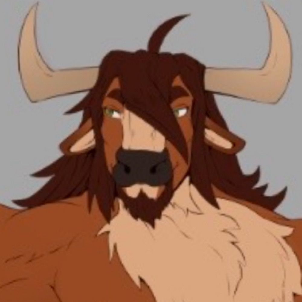 Felix the cow
