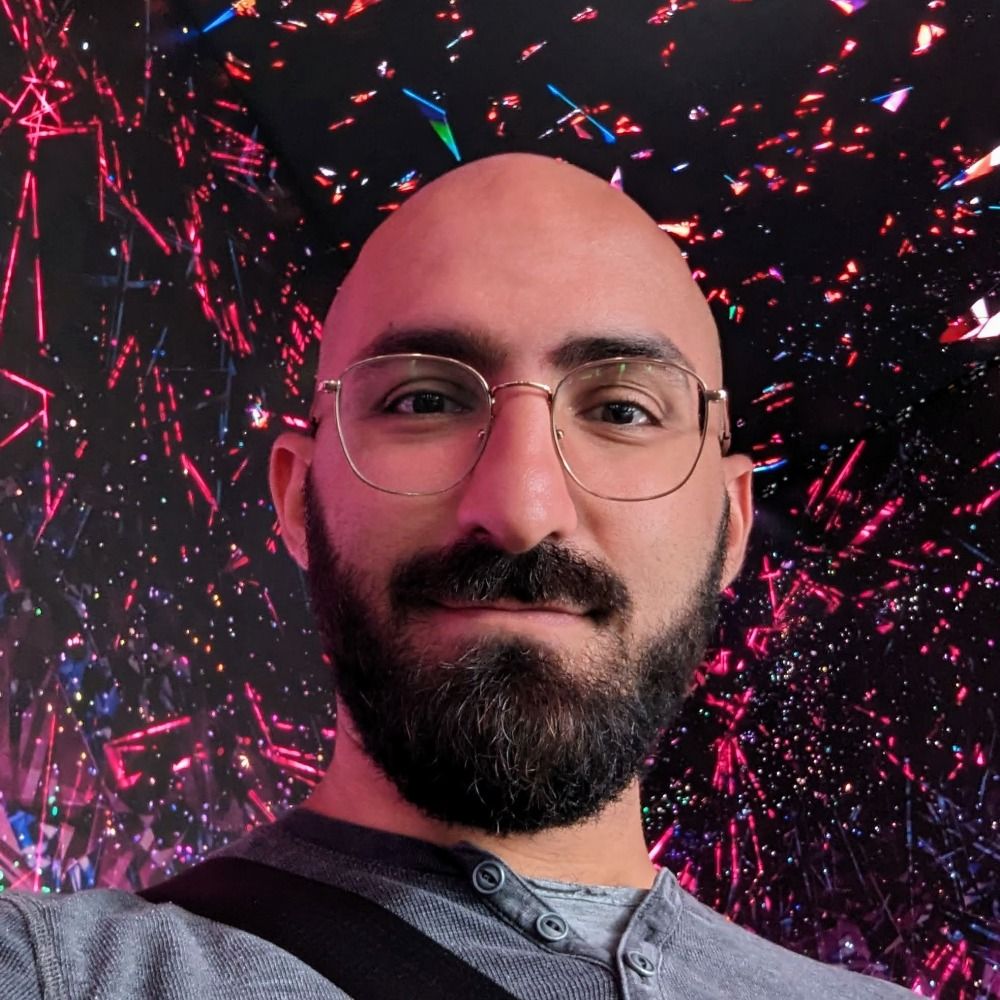 Amir H. Hajizamani