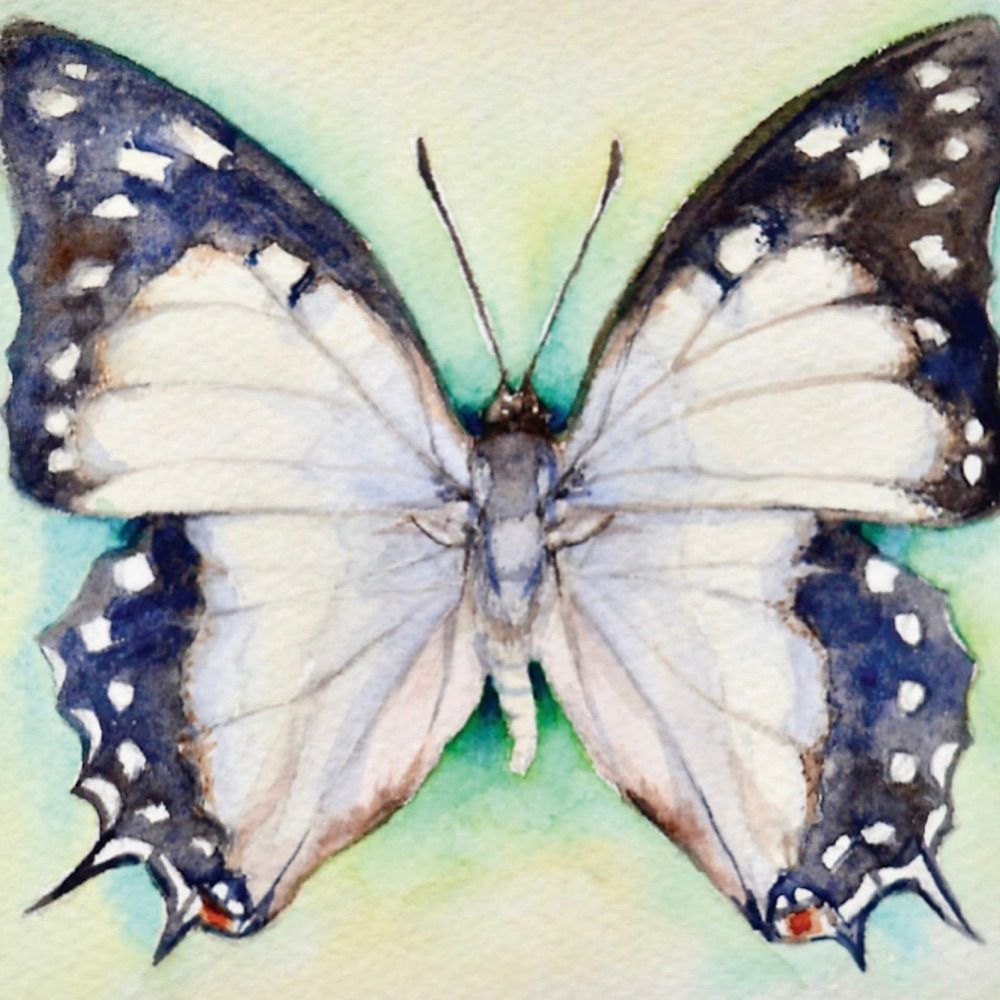 Lara Cooper Art