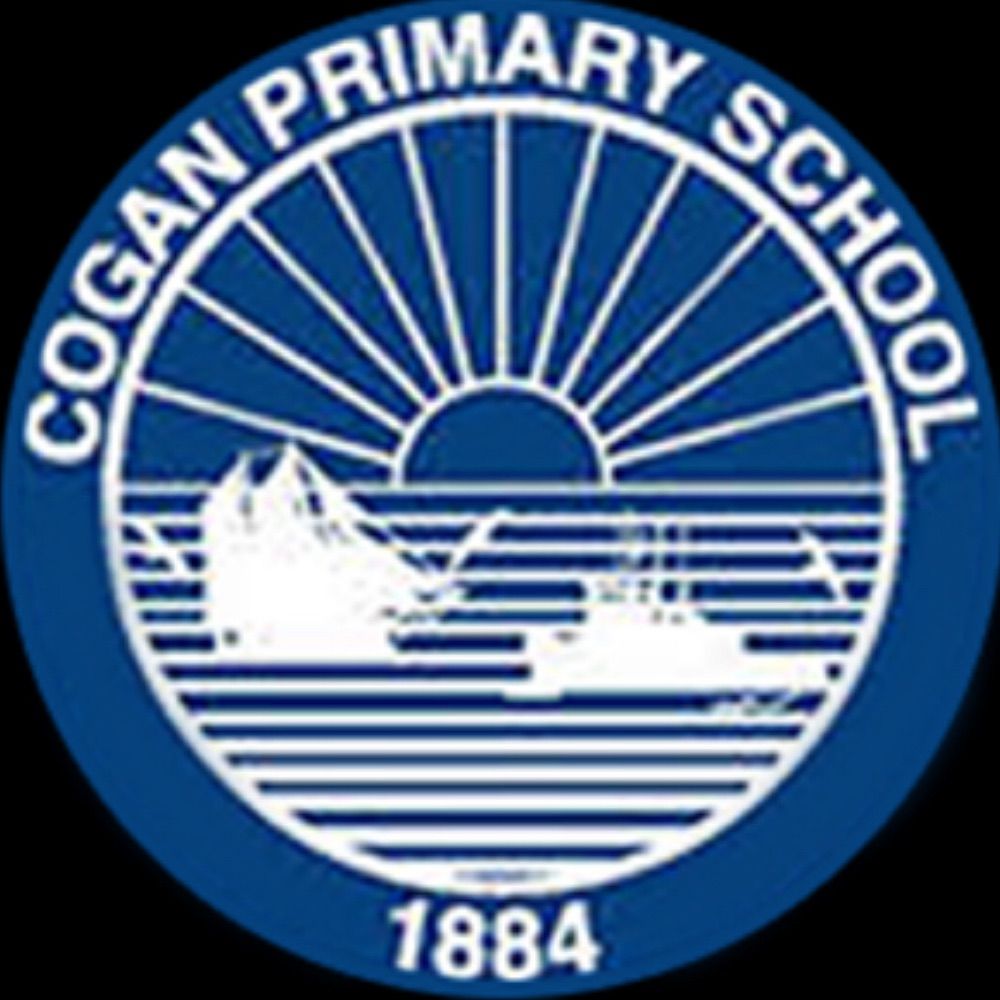 Cogan Primary School
