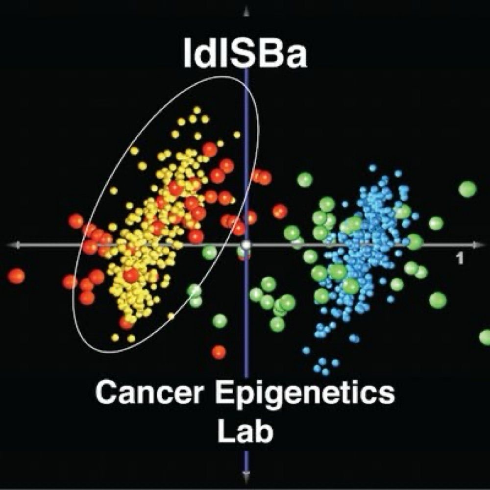 IdISBA Cancer Epigenetics Lab