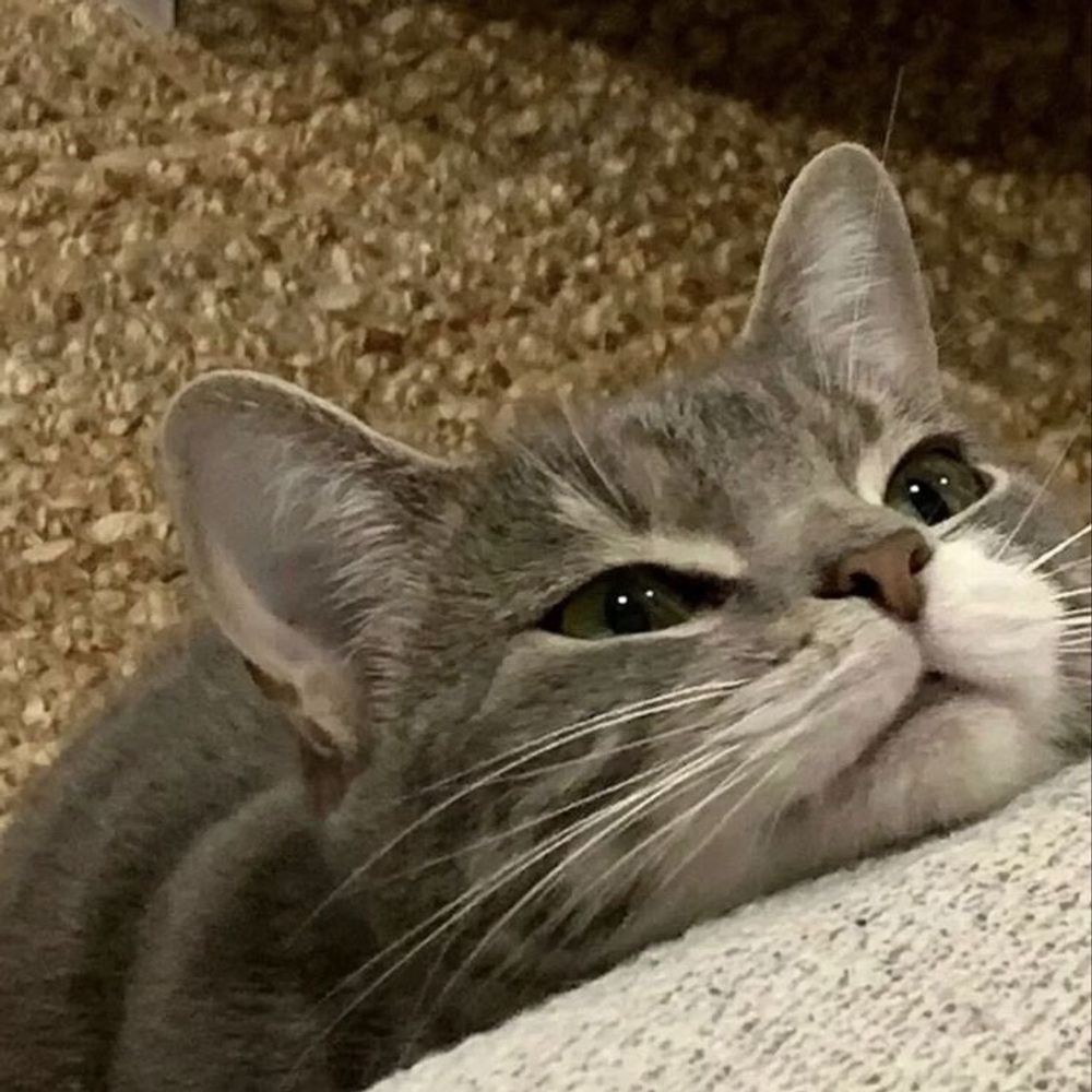 🧁