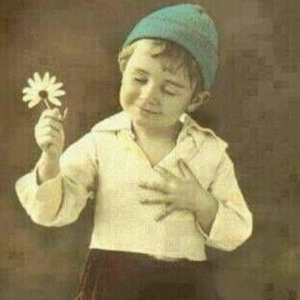 Arif