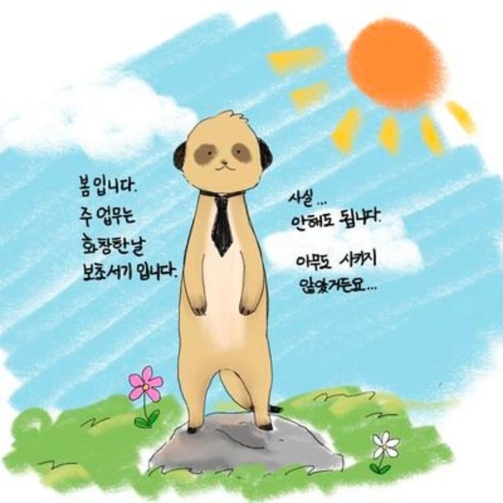 케이토랍토르🔒