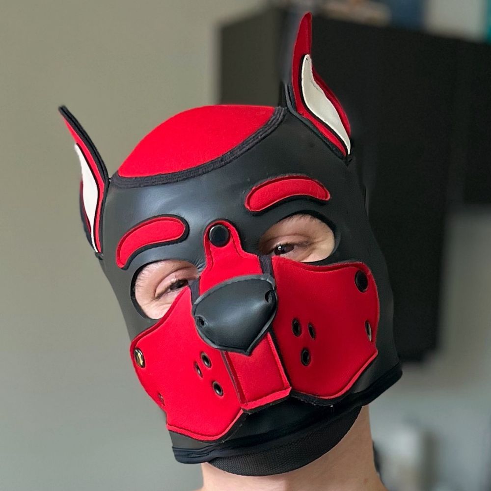 Casper the Red Puppy 🔜 LVFC, FWA