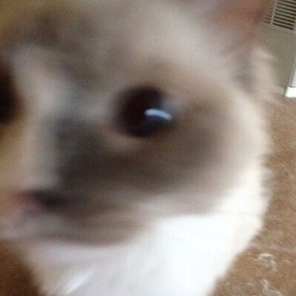 Nao