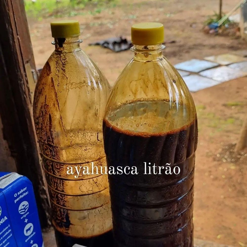 Ayahuasca Litrão