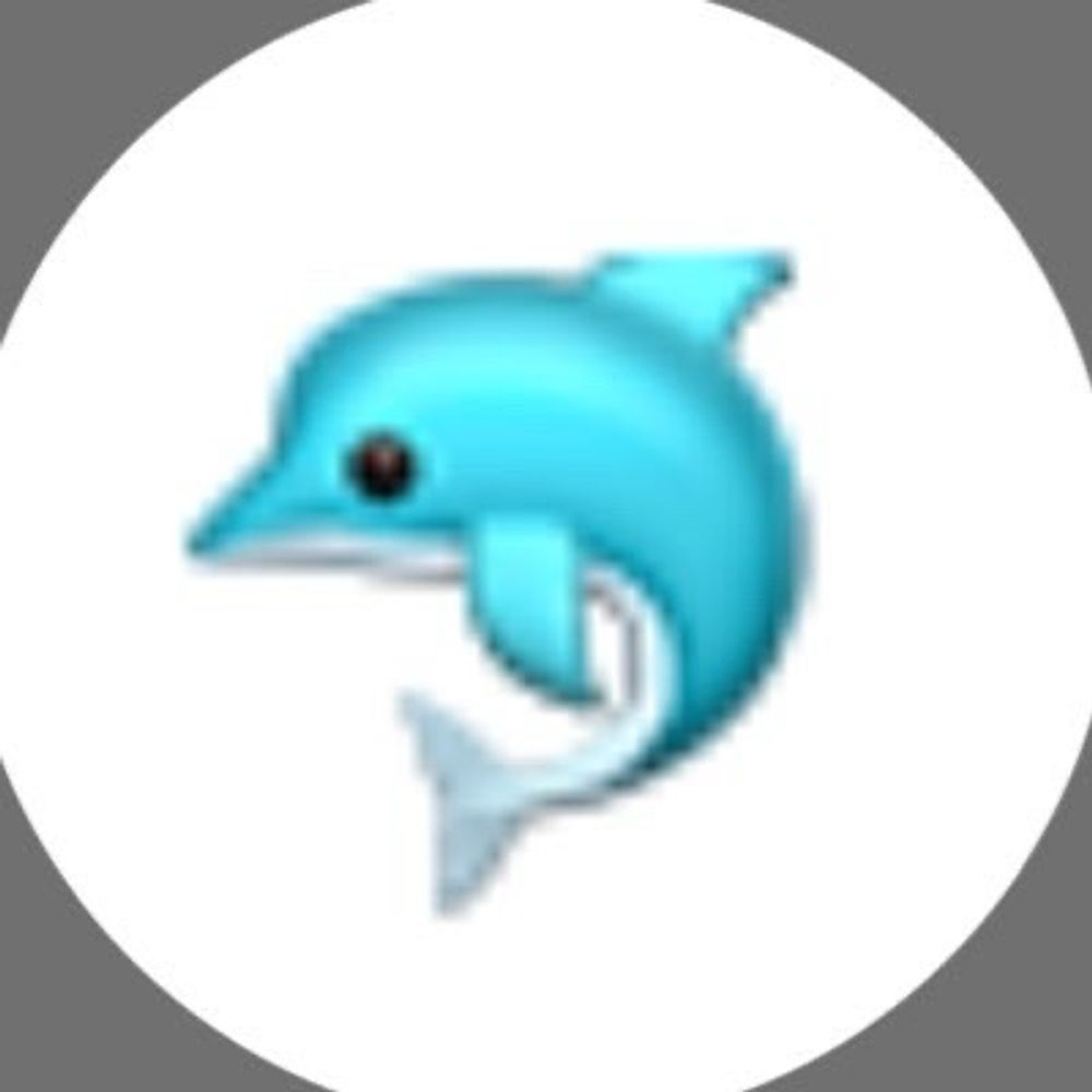 🐬