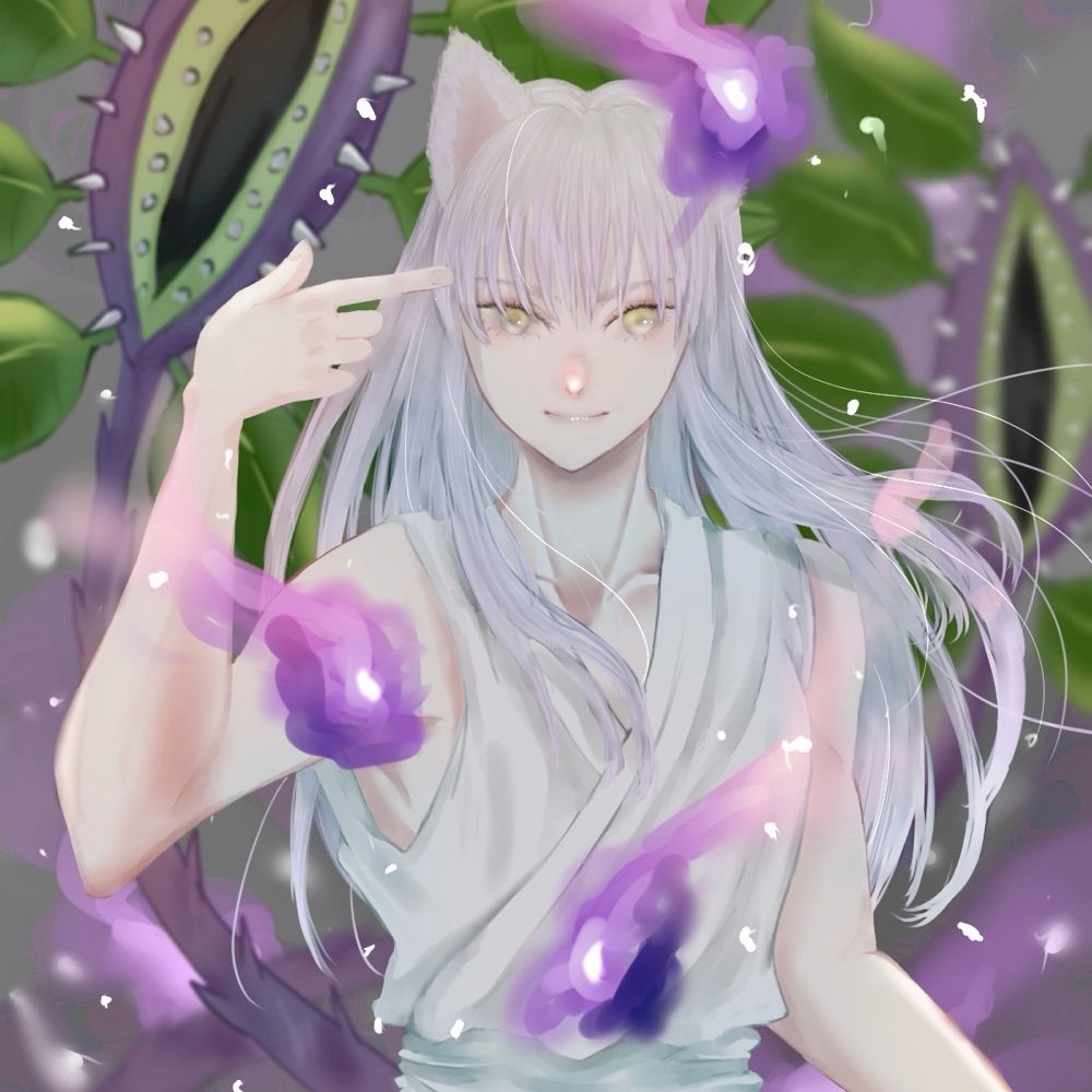 慧