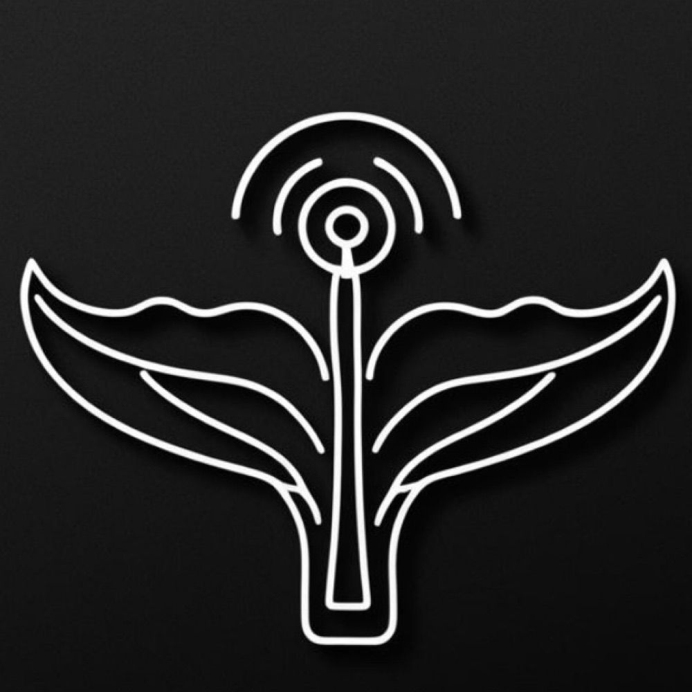 Radio New Cahokia