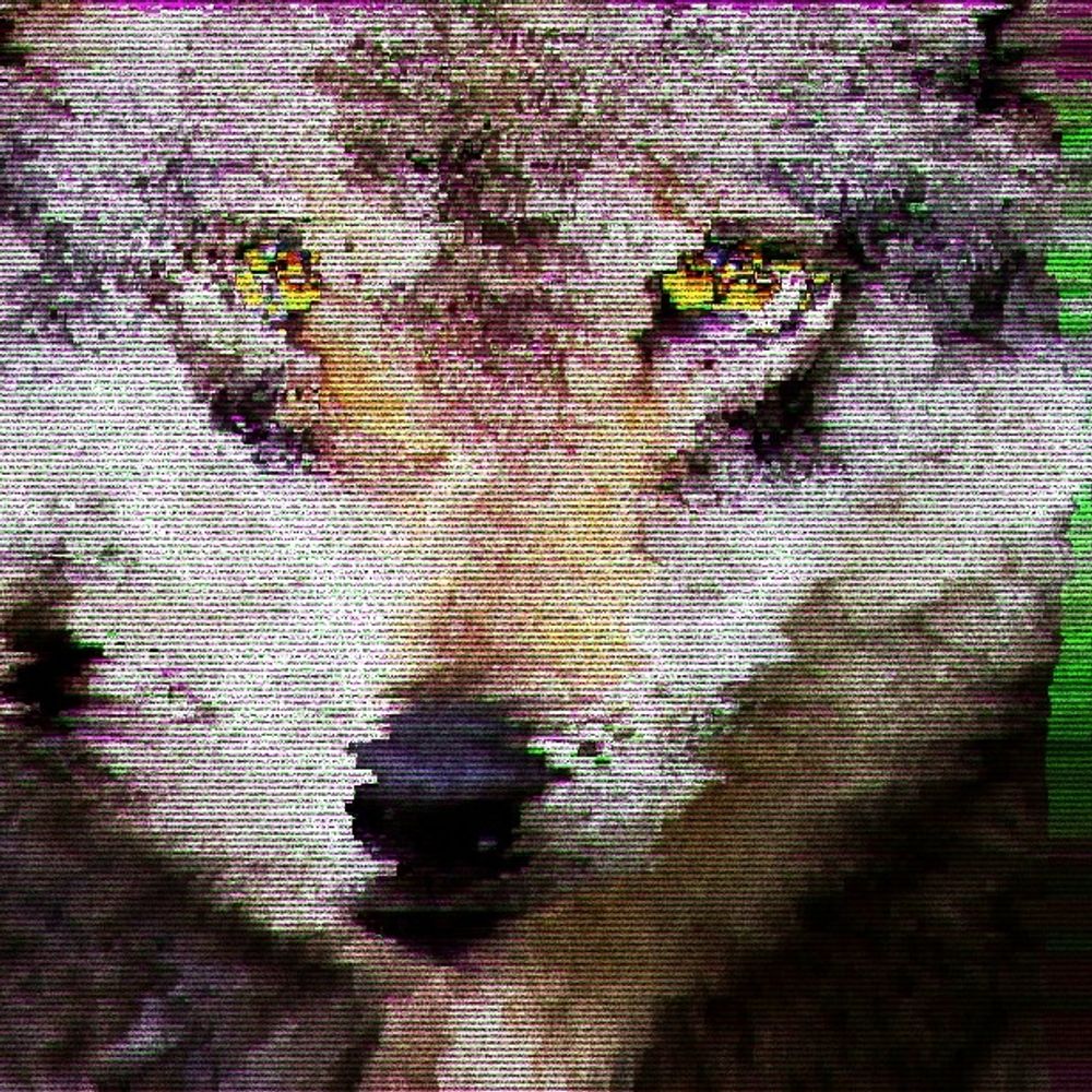 SHIFTER.TECH