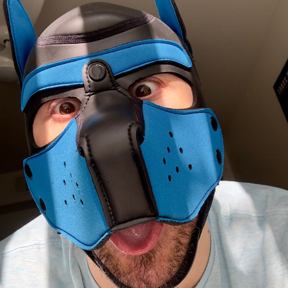 Pup Zeb