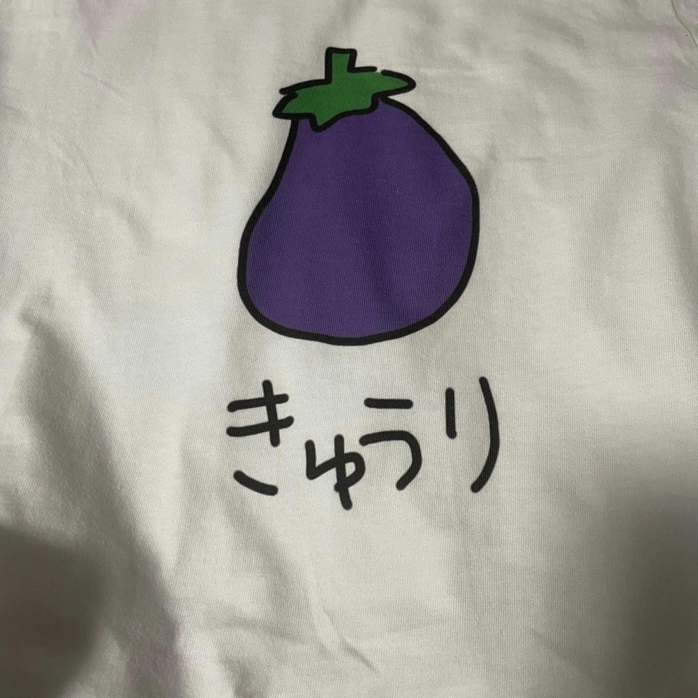 いんどしき