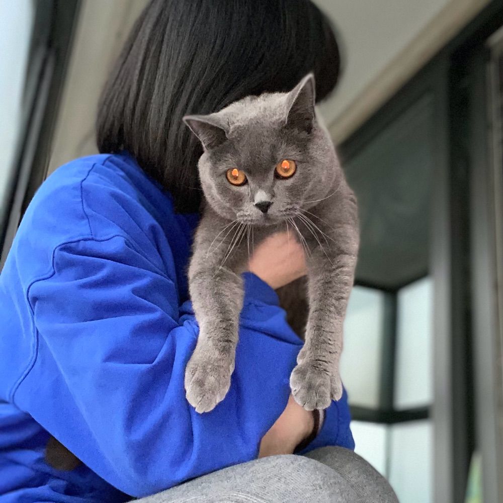 妙