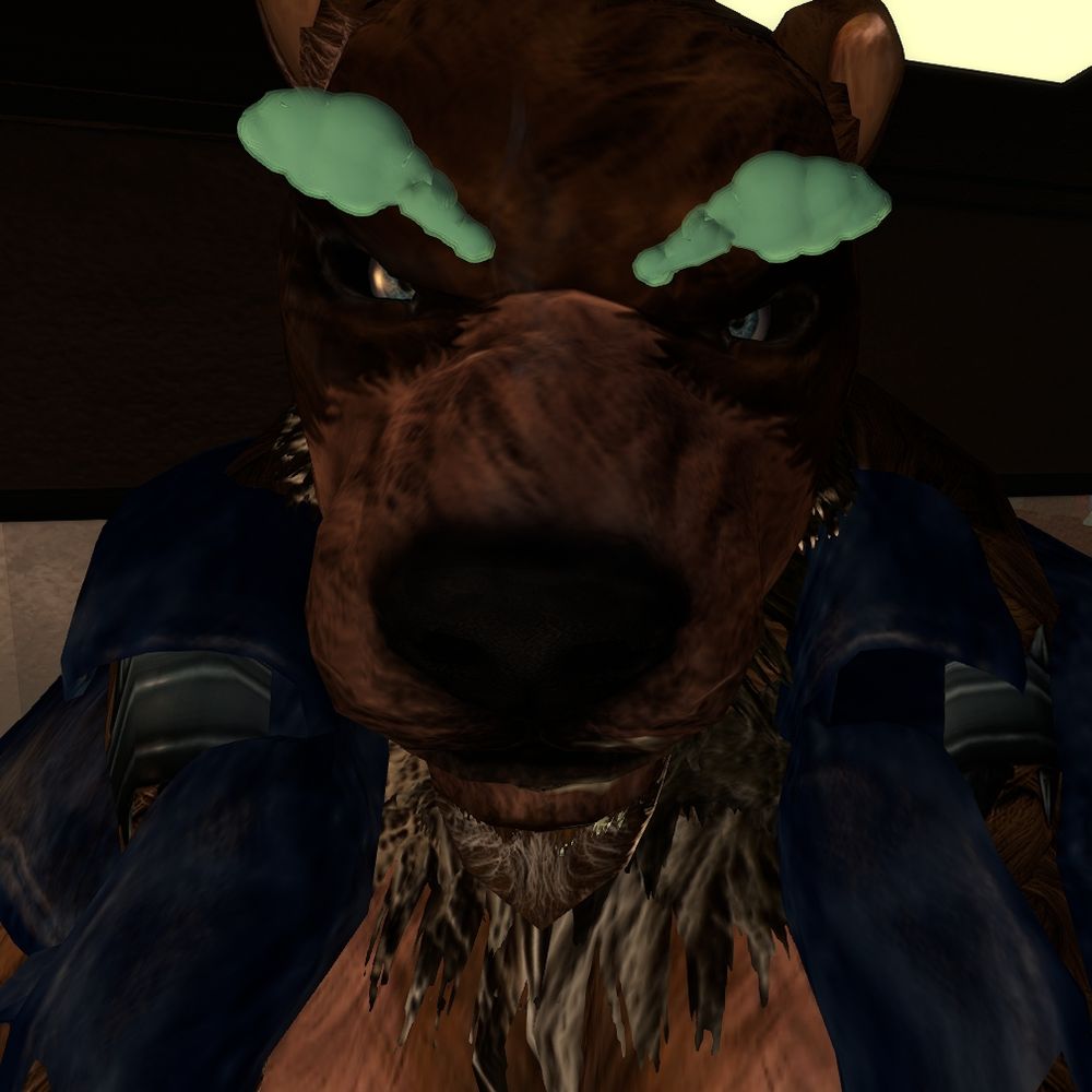 bigdadtiger.bsky.social profile picture