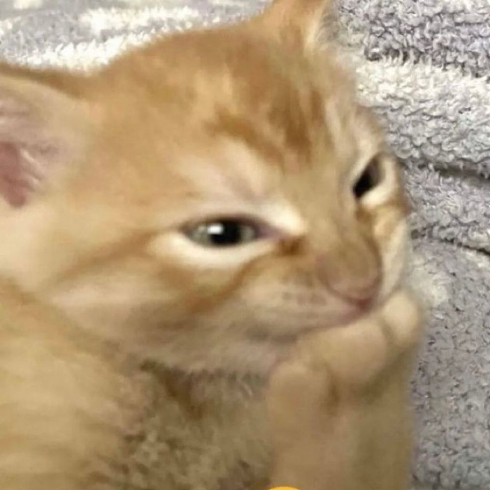 こう