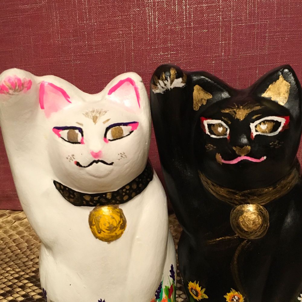 ✨😼lucky 🍀 cat😼✨