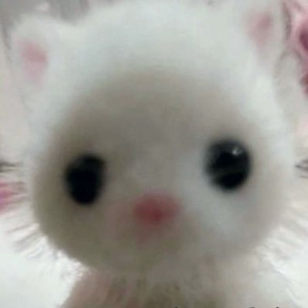 tobi