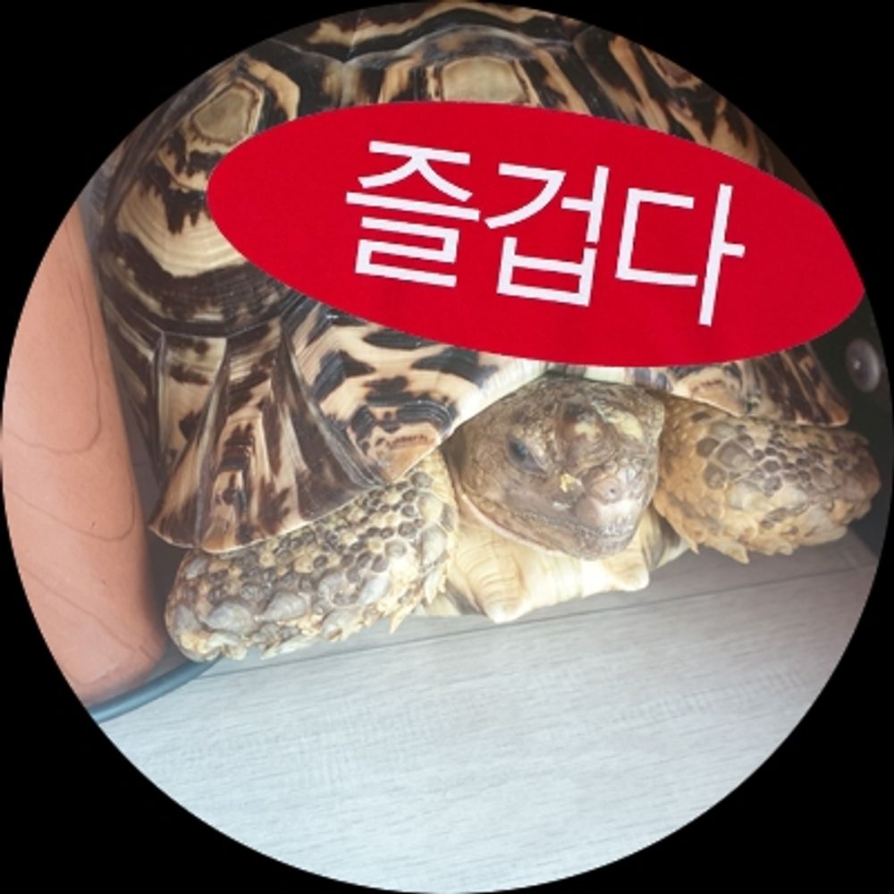 블랑카 Blanka