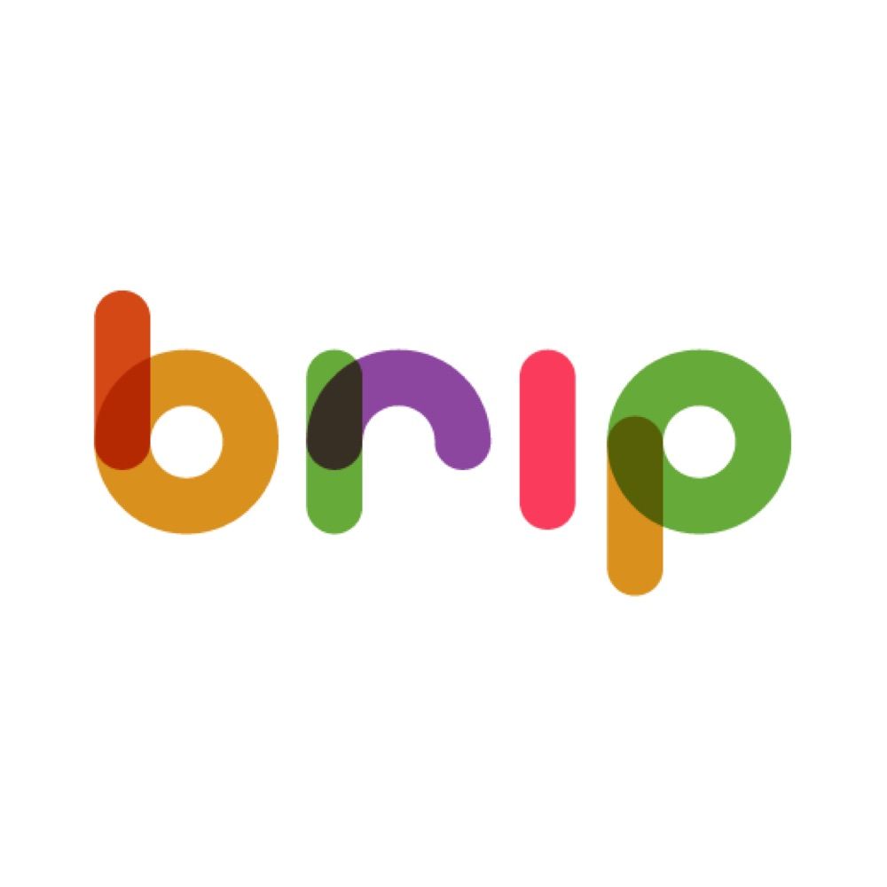 BRIP - Projeto de Investigação
