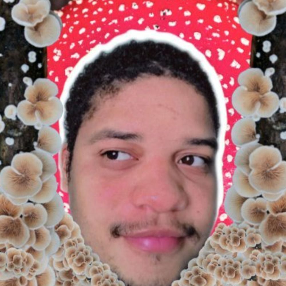 Mateus dos Fungos 