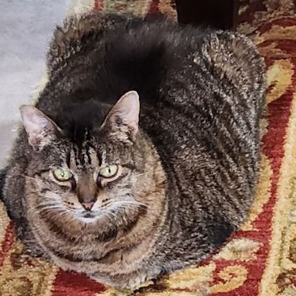 Susan
