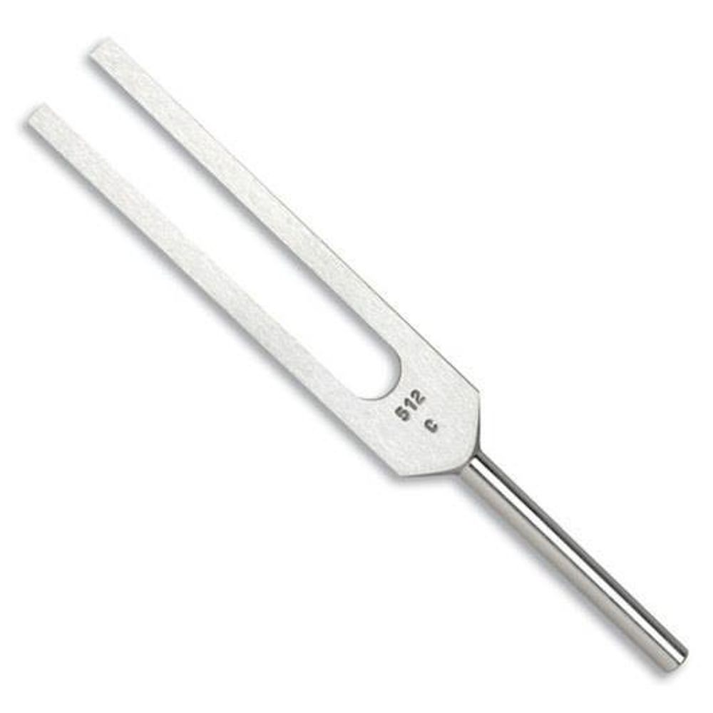 Tuning Fork