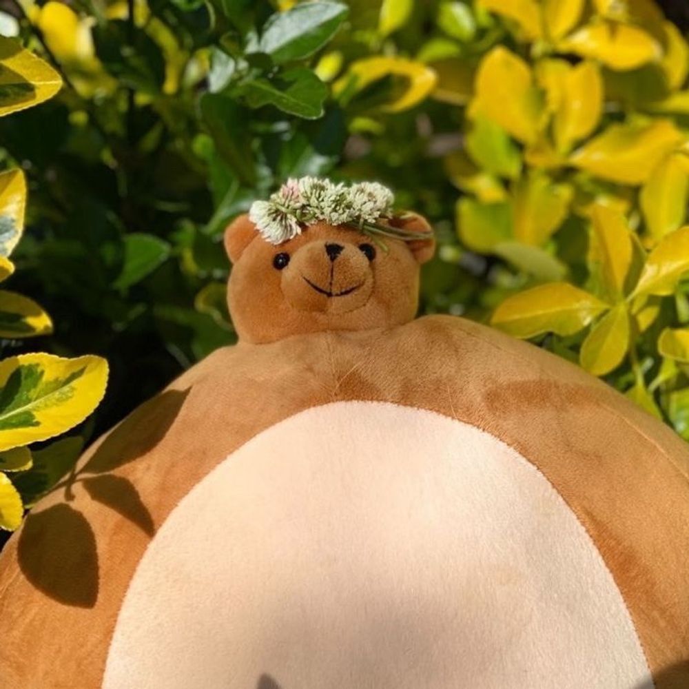 파제