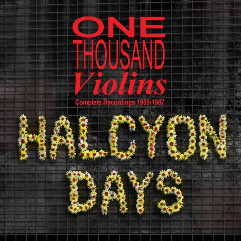 One Thousand Violins