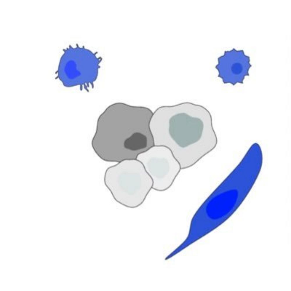 SaurLab