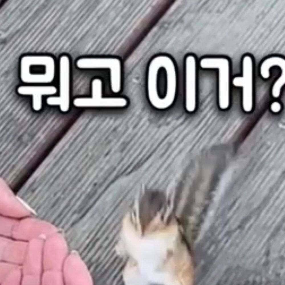 ㄷ