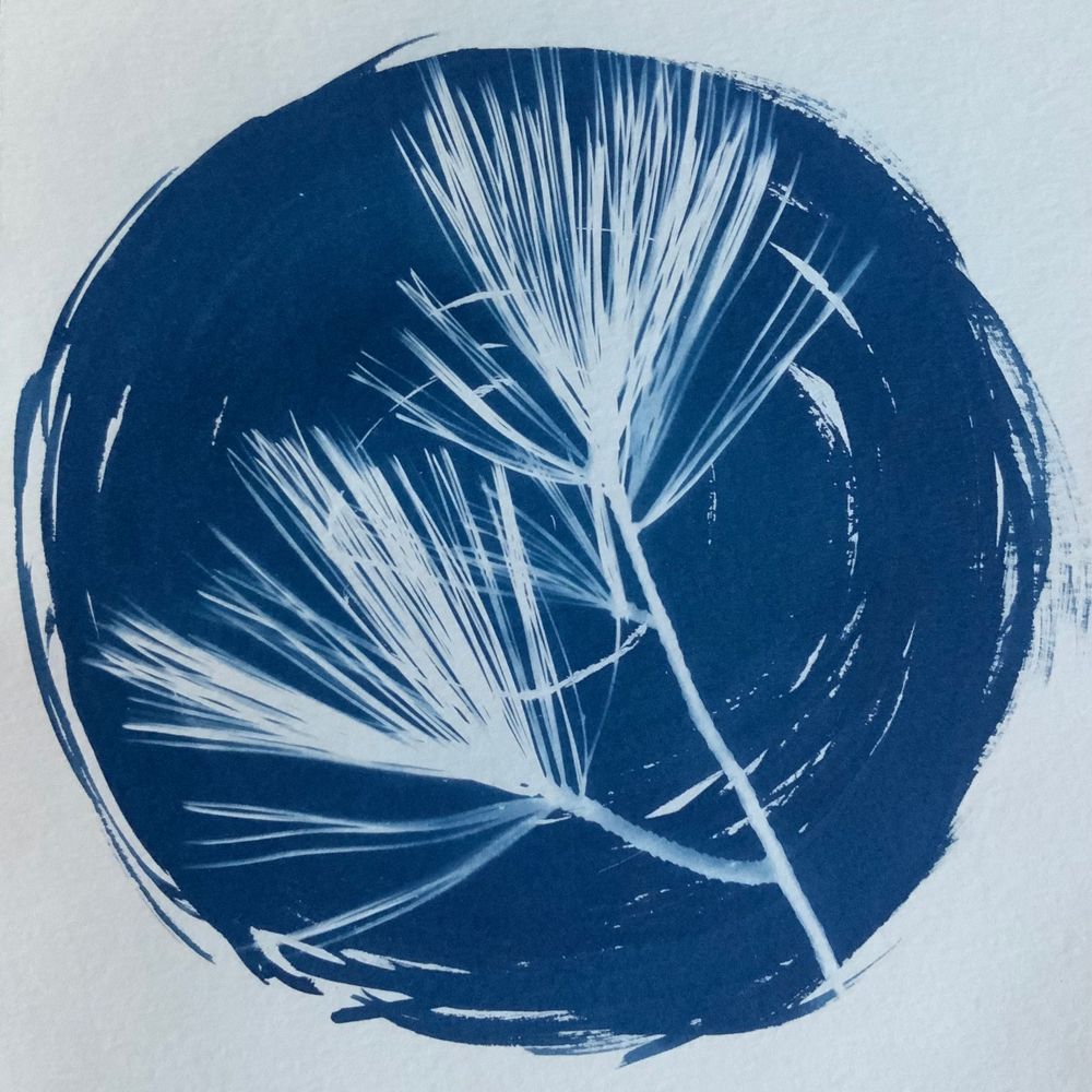 Flooded Pine Press