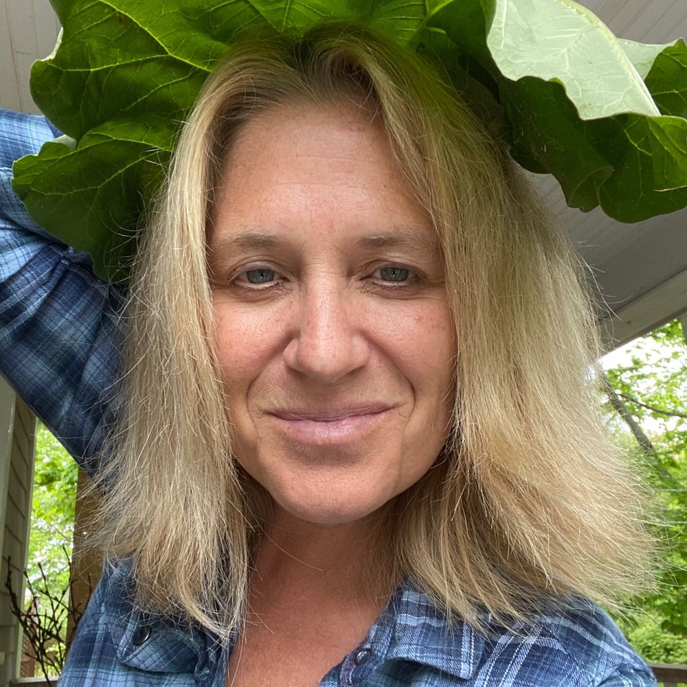 Lesley Frank