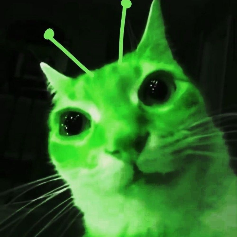 JeJe