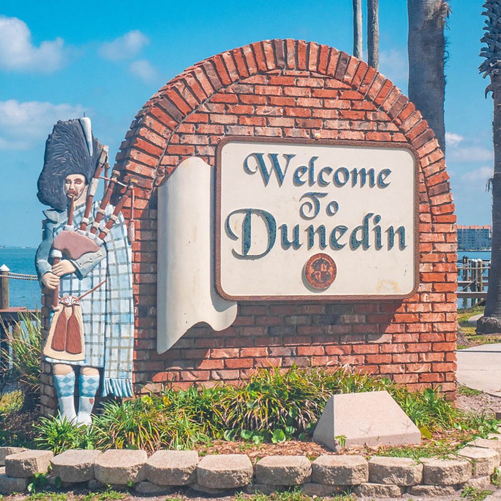 Dunedin Happenings