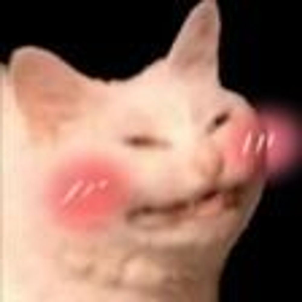TheStinkyCattArtist✨✨