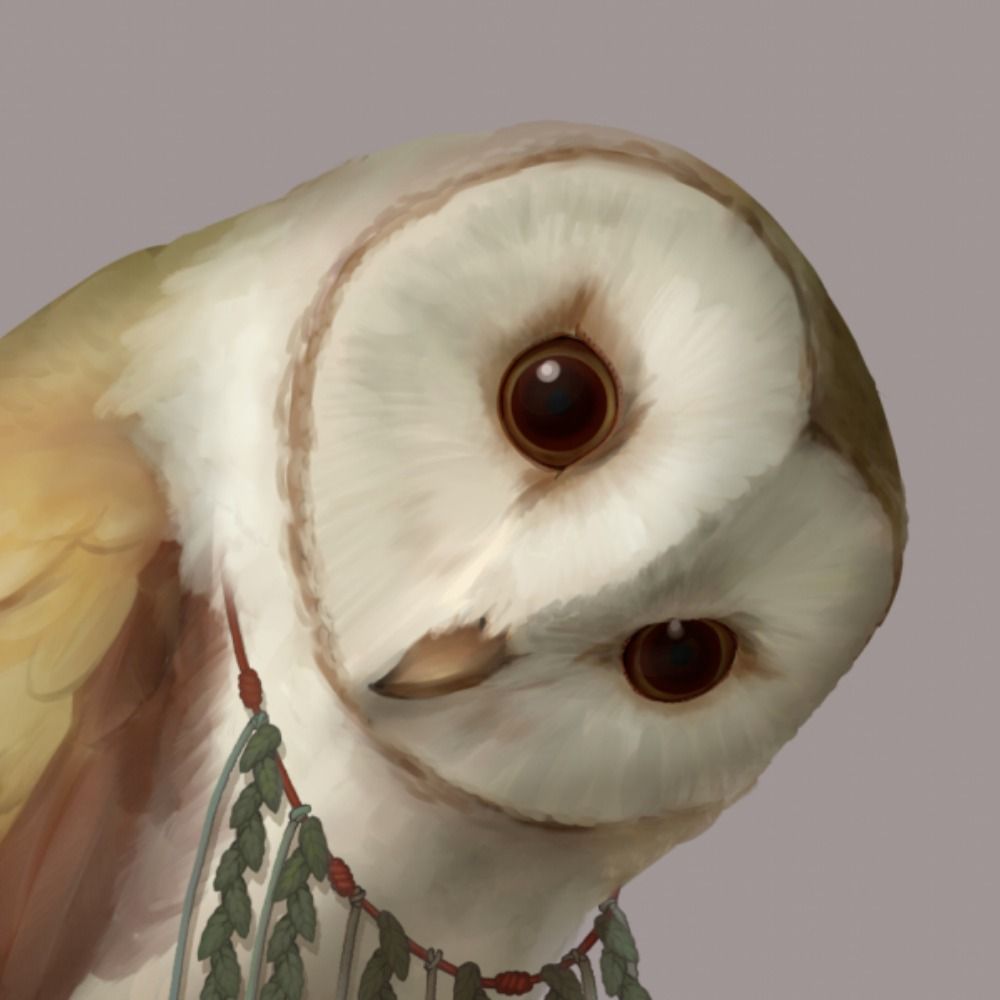 haluaki / Illustrator