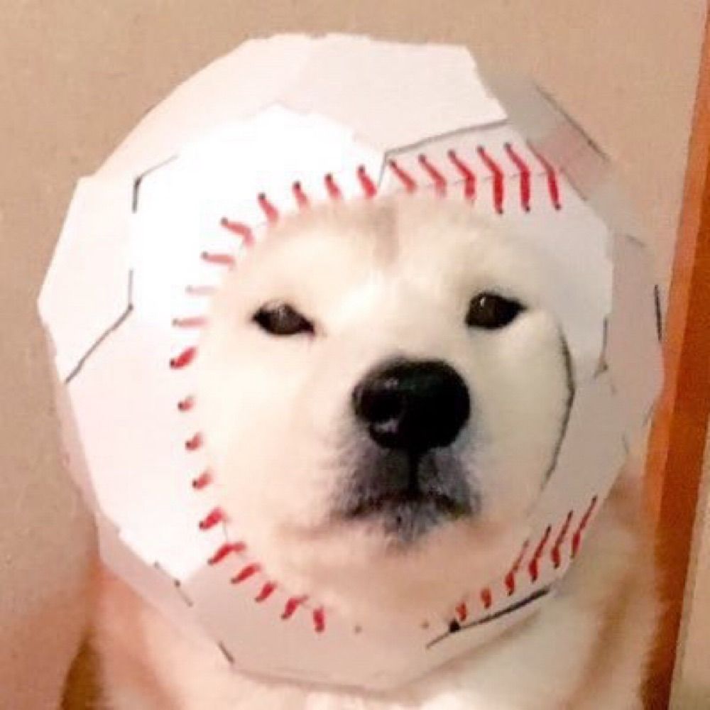 사평*