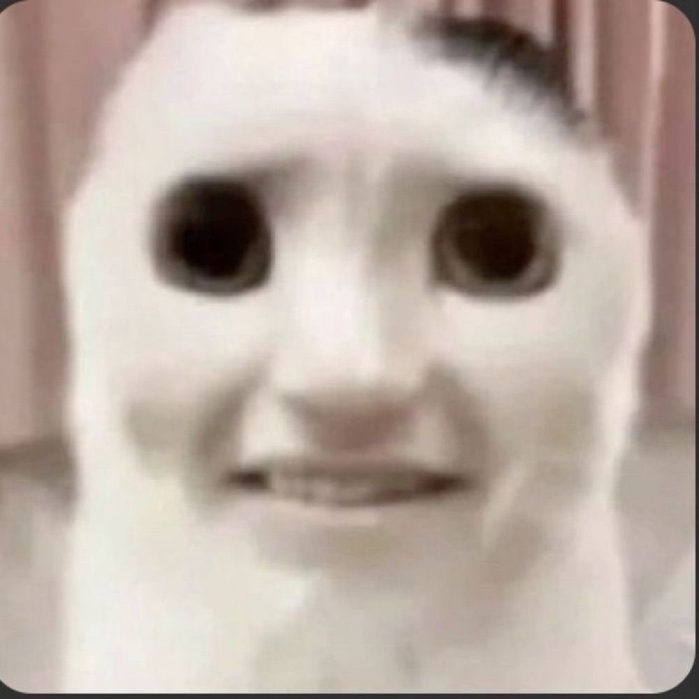 toofdev
