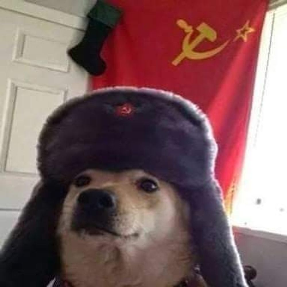 jooj