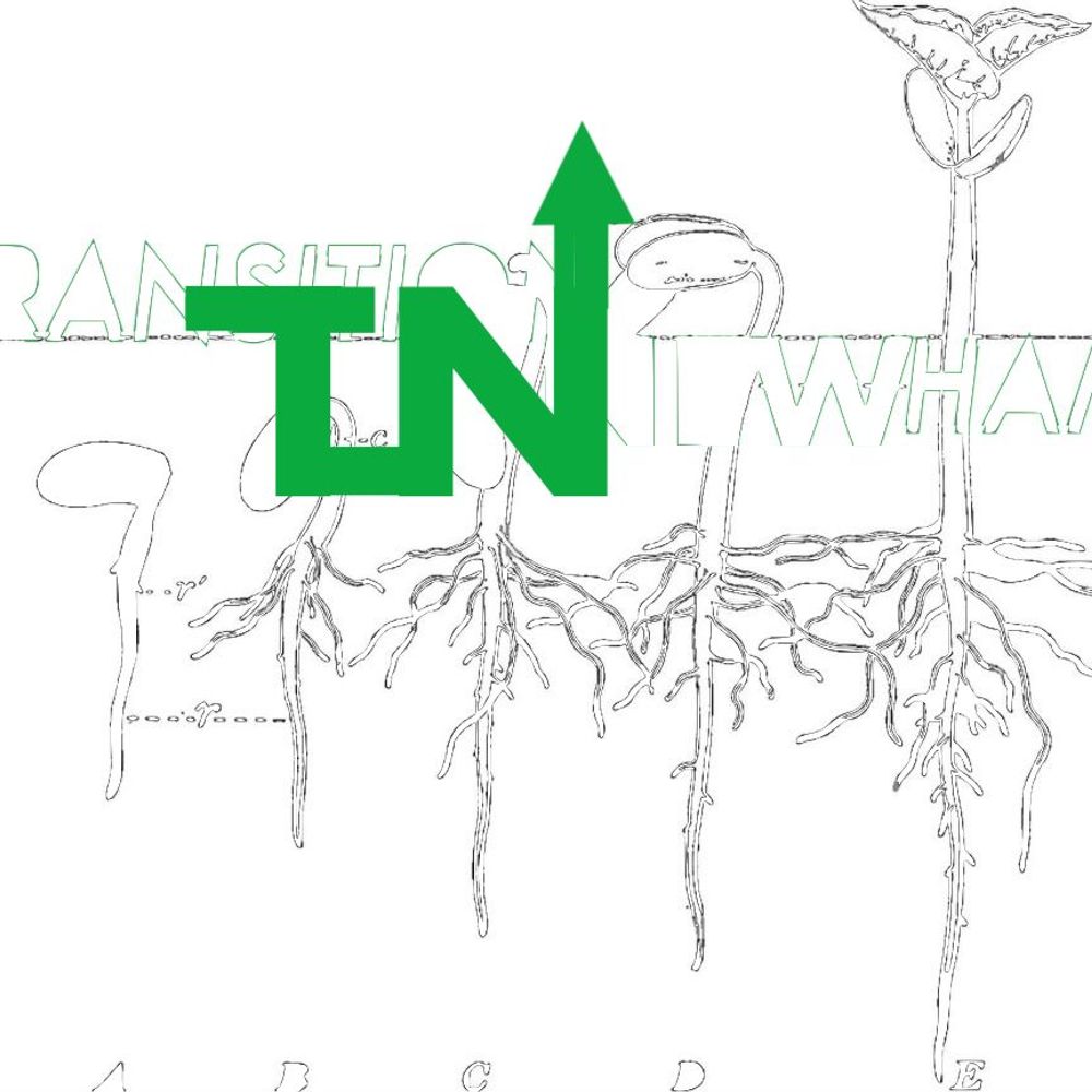 Transition_Newham