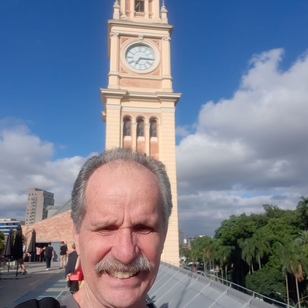 Luiz Carlos Vicentini 🚩🇧🇷 🇵🇸