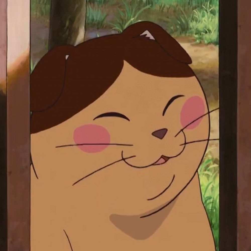 장미