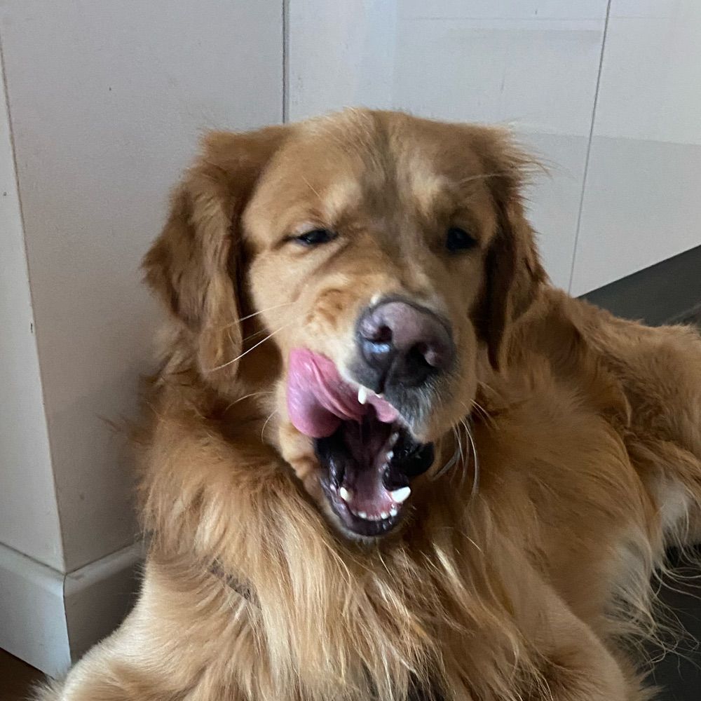 Laszku